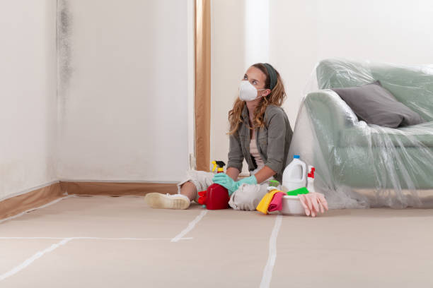 Reliable Mold Cleanup contractor in Union Pier, MI by WQB Mold Removal